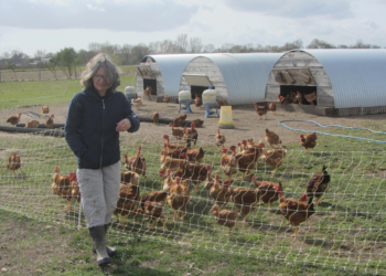 Influenza aviaire en Maine-et-Loire : Le nord-saumurois épargné… Témoignage.