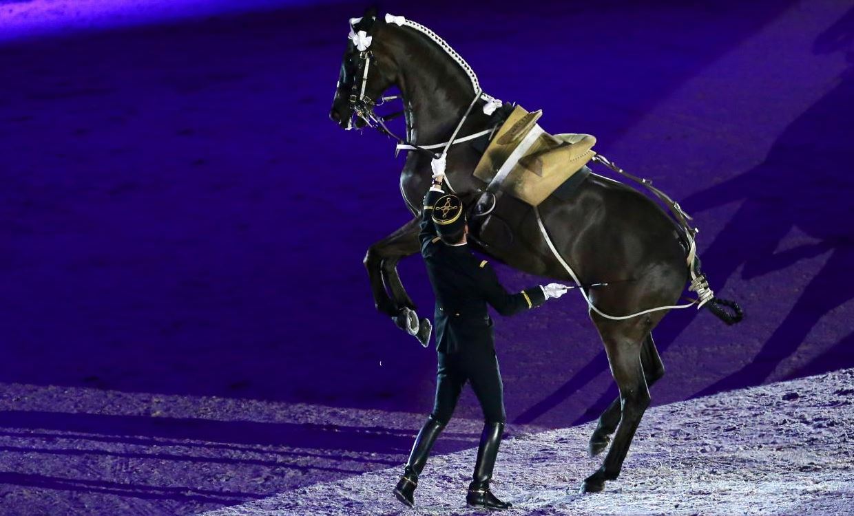 Le cadre noir de Saumur - Nouveau spectacle