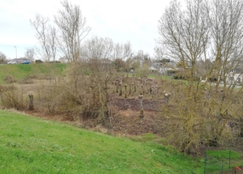 Baugeois-Vallée. Lancement du programme d’action « Territoire Engagé pour la Nature »