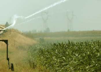 Edito de Michel Choupauvert. Doctrine du Thouet : je me jette à l’eau