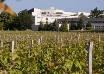 11 mars à Montreuil-Bellay. Le lycée Edgard Pisani organise un forum dédié à l’orientation