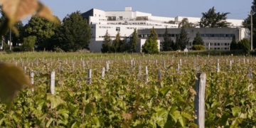 11 mars à Montreuil-Bellay. Le lycée Edgard Pisani organise un forum dédié à l’orientation