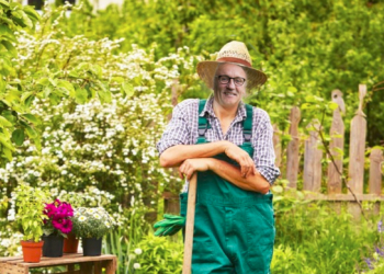 Edito de Michel Choupauvert : Hé, Monsieur Plus, pourquoi ne faire plus au jardin ?