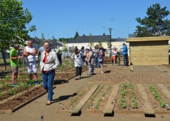 Saumur. Le jardin partagé du Chemin Vert reprend du service