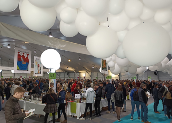 Salons des vins bio et nature : à l’aise à Saumur