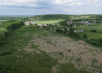 Chinonais. Marais de Taligny : 15 hectares supplémentaires pour le site et une ouverture au public