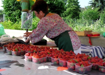 Allonnais. Retour des marchés de producteurs le vendredi soir entre mai et septembre