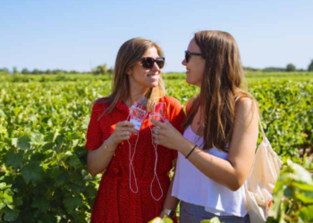 Val de Loire. Tourisme viticole : 2021, une année record