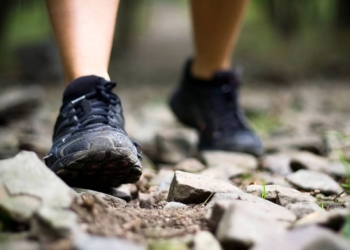 20 mars à Doué-la-Fontaine. Trois randonnées solidaires pour la Ligue contre le Cancer