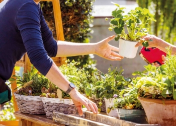 18 Avril Les Ulmes. Un Troc-Jardin pour préparer la saison estivale
