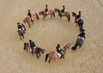 Saumur. Entreprises et particuliers, devenez mécènes du Cadre Noir