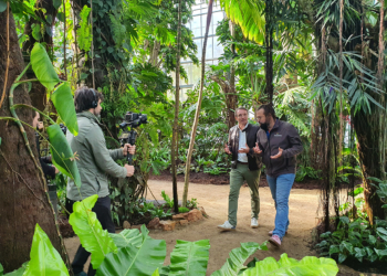Le Bioparc de Doué-en-Anjou et l’Abbaye Royale de Fontevraud bientôt sur M6