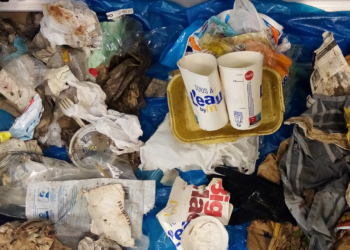 Saumurois. Initiative : 3ème ramassage de déchets de la plateforme « Services le Thouet »