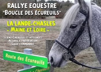 12 juin  à La Lande-Chasles : Boucle équestre des écureuils. Les inscriptions sont ouvertes !