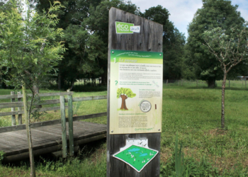 Jeudi 21 avril : Des idées de sorties/loisirs en Saumurois et alentours pendant les vacances