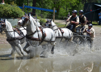 L’attelage saumurois recherche des bénévoles… Des moments de convivialité assurés