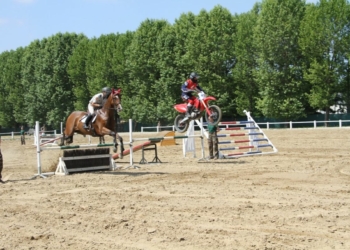 13, 15 et 16 juillet à Saumur. Le Carrousel fête ses 172 ans avec une nouvelle recette en nocturne