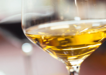 Les médailles au concours des Vins de Loire. Quels vins choisir ?