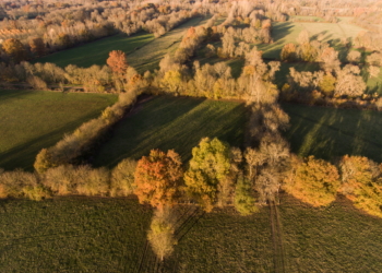 Loire-Anjou-Touraine. Les haies bocagères : un élément patrimonial à préserver