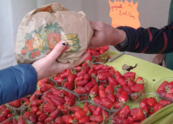 6 mai à La Breille-les-Pins : Marché des producteurs