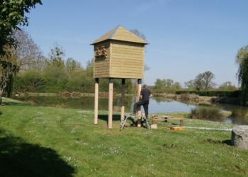 Baugé-en-Anjou. Des pigeonniers municipaux installés à Fougeré et Cheviré-le-Rouge
