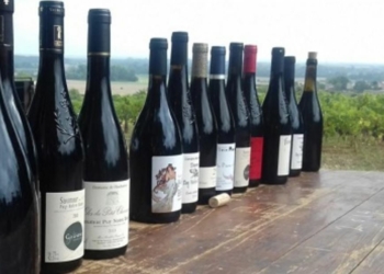 Viticulture : Les vins du Val de Loire attirent toujours plus, notamment à l’étranger