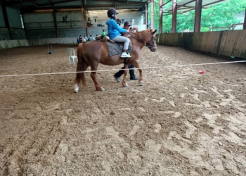 Saumur. Une aide mise en place pour les inscriptions à l’équitation