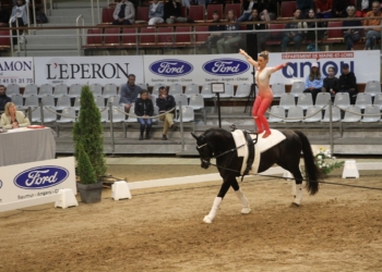 Saumur Voltige. Les voltigeurs et voltigeuses ont commencé la compétition. (Photos)