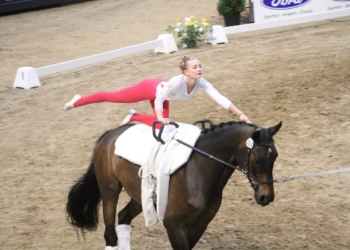 Saumur Voltige. Les voltigeurs et voltigeuses ont commencé la compétition. (Photos)