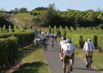 Idée sortie. Quels sont les itinéraires cyclables dans le Saumurois.
