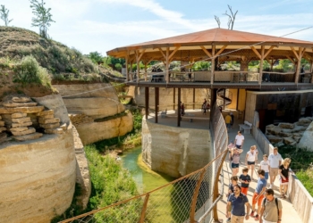 Doué-en-Anjou. Le Bioparc accueille l’association française des Parcs zoologiques