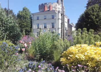 Saumur. Concours cité-jardin 2022 : Les inscriptions sont ouvertes