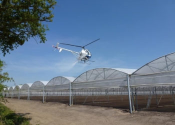 Villebernier. Un hélicoptère survole les serres et déverse un produit