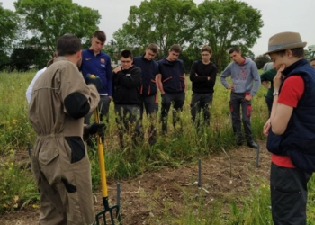 Montreuil-Bellay. Une riche collection de pieds de vigne au lycée Edgard Pisani