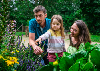 21 mai à Montsoreau. En mai, accueillez la biodiversité avec la Maison du Parc