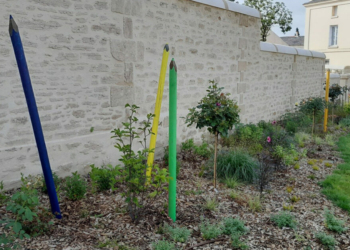 Doué-en-Anjou. Des embellissements estivaux sur le thème des couleurs