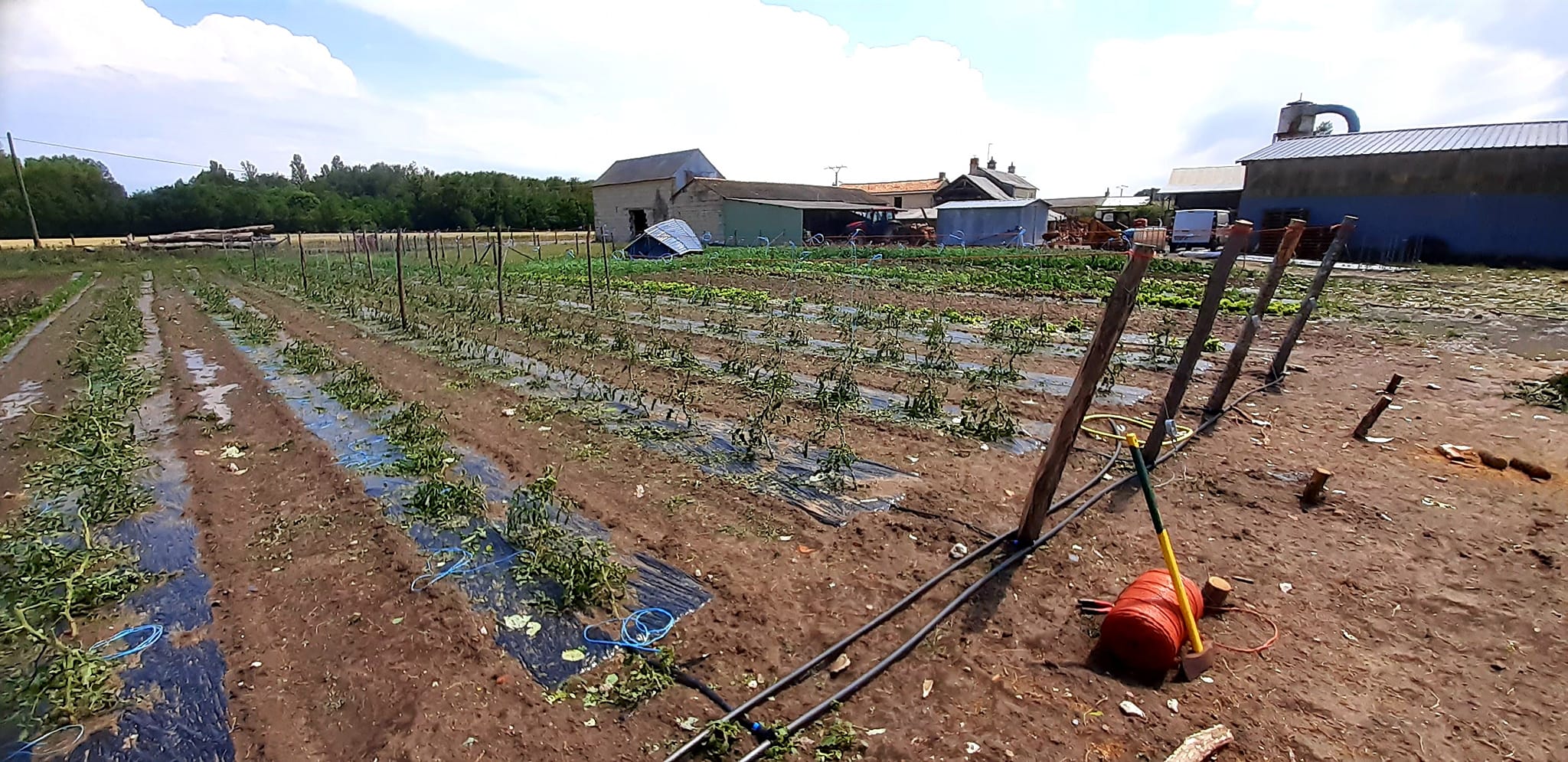 Saumurois. Après l’orage, la désolation : témoignages de producteurs