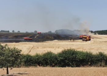 Bellevigne-les-Châteaux. Feu de culture : 10 hectares partent en fumée