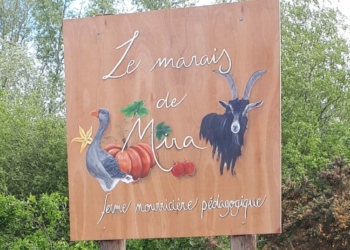 Idée sortie #21. Une ferme pédagogique proche de Saumur