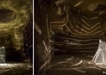 Saint-Hilaire-Saint-Florent. Une œuvre lumineuse et curieuse dans les caves Ackerman