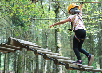 Du 18 juillet au 26 août à Montreuil-Bellay : Un été en famille