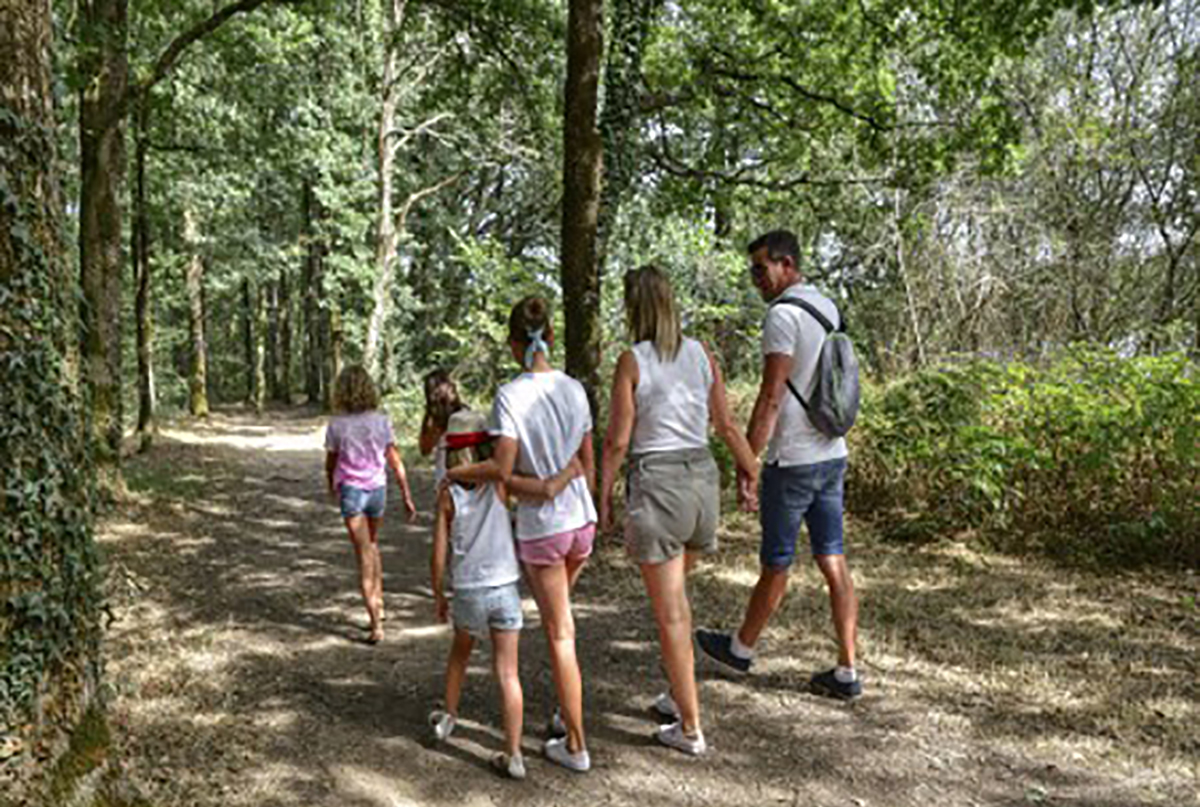 balade-foret - Saumur Kiosque