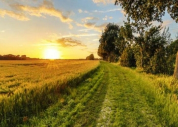 Loire Anjou Touraine. Un prix pour valoriser les innovations à la campagne