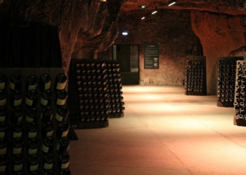 Idée sortie #26. Quelles sont les caves à vin du Saumurois à visiter durant l’été ?