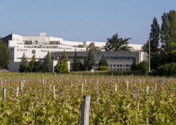 18 juin à Montreuil-Bellay : Conférence professionnelle sur la gamme des vins au CFPPA Edgard Pisani