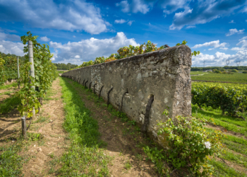 En juillet à Souzay-Champigny : Le Clos Cristal ouvre ses portes