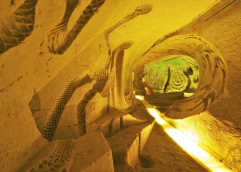 Saint-Georges-des-Sept-Voies. L’Hélice Terrestre recherche des bénévoles pour l’été