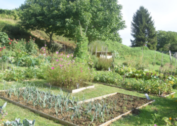 11 et 12 juin à Saumur et Longué : « Bienvenue dans mon jardin au naturel »