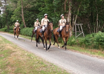Saumur. Les lieutenants de l’école de cavalerie traverseront la ville à cheval
