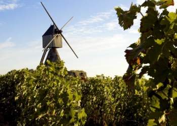 Histoire locale. Les moulins à vent du Saumurois